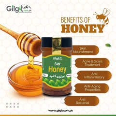 100% Pure Sidr Honey | بیری کا شہد – Premium Berry Ka Shehad from Gilgit | Export Quality | gilgit.com.pk
