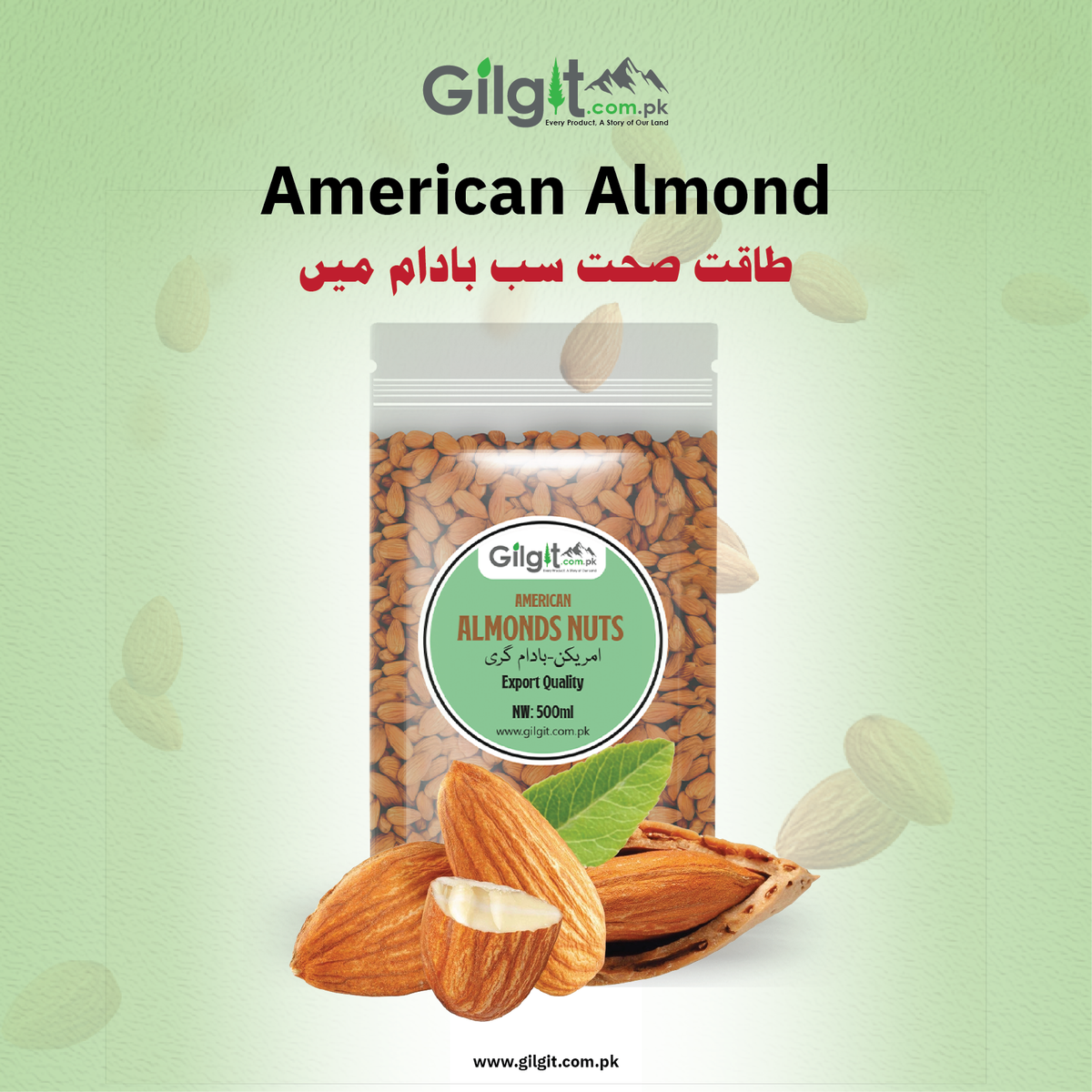 Premium American Almonds – Fresh Badam Giri at Best Price in Pakistan | Gilgit.com.pk