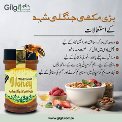 Big Bee Honey – 100% Pure & Natural Multiflora Honey from Gilgit Pakistan | Gilgit.com.pk