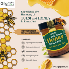 Small Bee Honey – 100% Pure Wild Honey from Gilgit Mountains Pakistan | Gilgit.com.pk